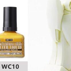 WC10 Vàng Điểm Nhấn